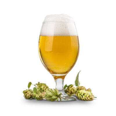 Cerveza 33cl 1900 Ambar